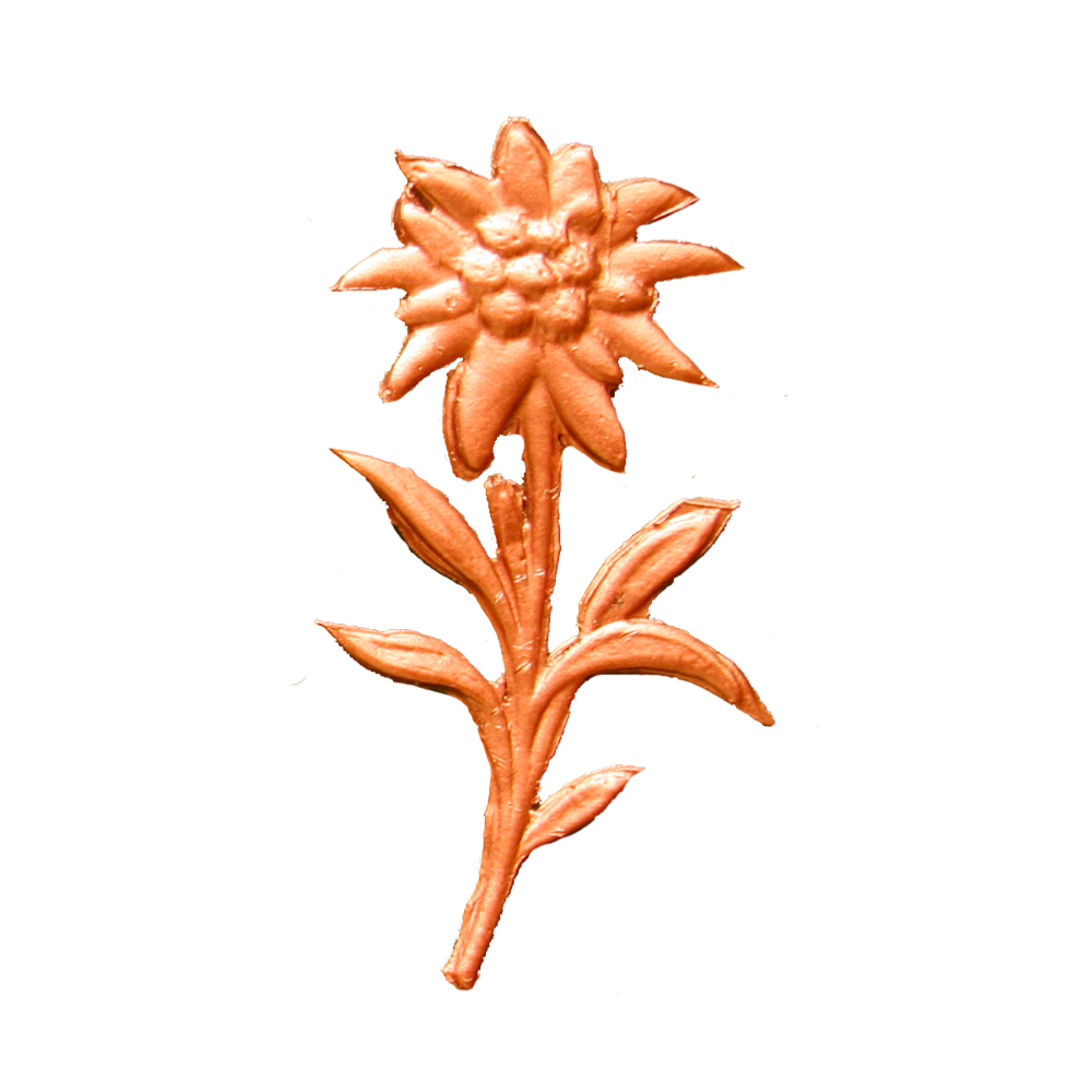 Edelweiss