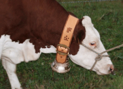 Courroie en cuir décorée pour une cloche de vache en bronze